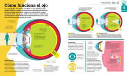 Alternative view 2 of Como funciona el cuerpo humano (How the Body Works): Guia grafica de nuestro organismo
