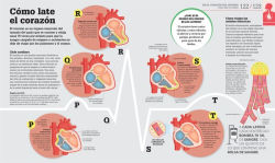 Alternative view 3 of Como funciona el cuerpo humano (How the Body Works): Guia grafica de nuestro organismo