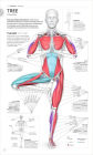 Alternative view 2 of Science of Yoga: Understand the Anatomy and Physiology to Perfect Your Practice