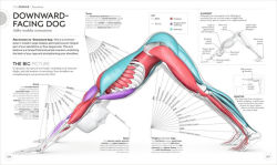 Alternative view 3 of Science of Yoga: Understand the Anatomy and Physiology to Perfect Your Practice