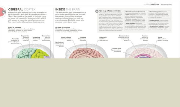 Science of Yoga: Understand the Anatomy and Physiology to Perfect Your Practice