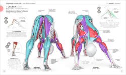 Alternative view 5 of Science of Yoga: Understand the Anatomy and Physiology to Perfect Your Practice