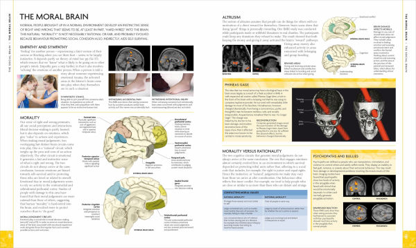 The Human Brain Book: An Illustrated Guide to its Structure, Function, and Disorders