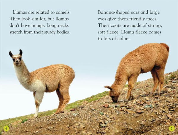 Llamas (DK Readers Level 2 Series)
