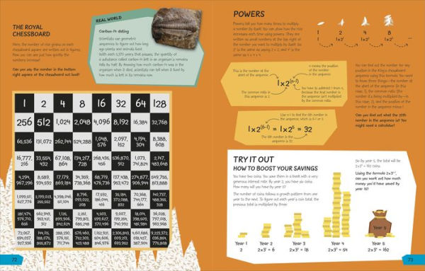 What's the Point of Math?