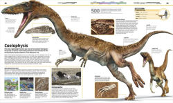 Alternative view 3 of Knowledge Encyclopedia Dinosaur!: Over 60 Prehistoric Creatures as You've Never Seen Them Before