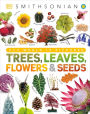 Trees, Leaves, Flowers and Seeds: A Visual Encyclopedia of the Plant Kingdom