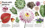Alternative view 2 of Trees, Leaves, Flowers and Seeds: A Visual Encyclopedia of the Plant Kingdom