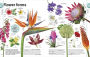 Alternative view 5 of Trees, Leaves, Flowers and Seeds: A Visual Encyclopedia of the Plant Kingdom