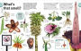 Alternative view 6 of Trees, Leaves, Flowers and Seeds: A Visual Encyclopedia of the Plant Kingdom