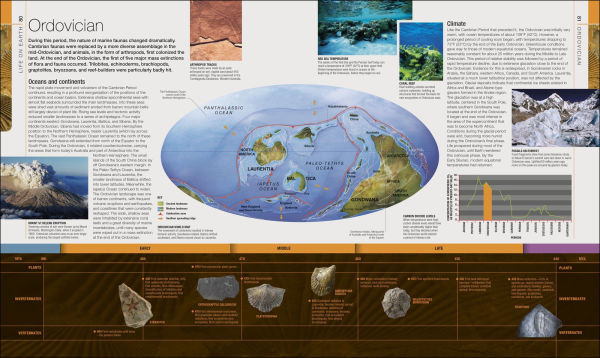 Dinosaurs and Prehistoric Life: The Definitive Visual Guide to Prehistoric Animals