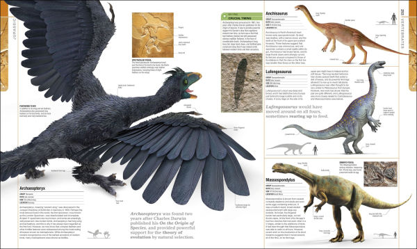 Dinosaurs and Prehistoric Life: The Definitive Visual Guide to Prehistoric Animals
