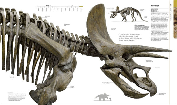 Dinosaurs and Prehistoric Life: The Definitive Visual Guide to Prehistoric Animals