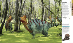 Alternative view 9 of Dinosaurs and Prehistoric Life: The Definitive Visual Guide to Prehistoric Animals