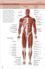 Alternative view 4 of The Concise Human Body Book