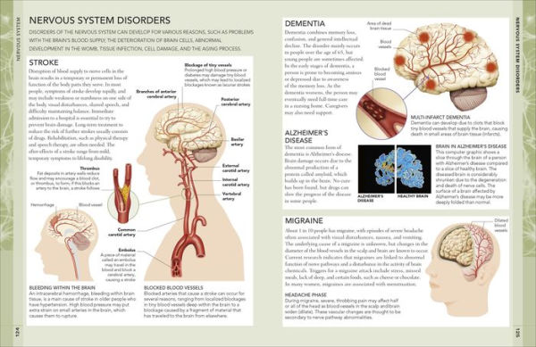 The Concise Human Body Book