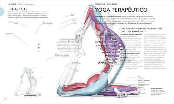 Anatomía del Yoga (Science of Yoga): Un estudio fisiológico postura a postura