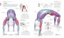 Alternative view 5 of Anatomía del Yoga (Science of Yoga): Un estudio fisiológico postura a postura