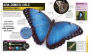 Alternative view 3 of Super Insectos (Super Bug Encyclopedia): Los insectos más grandes, rápidos, mortales y espeluznantes