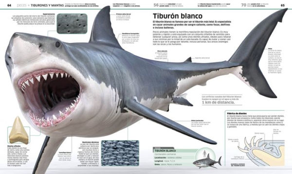 Animales (Knowledge Encyclopedia Animal!): El reino animal como nunca lo habías visto