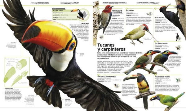 Animales (Knowledge Encyclopedia Animal!): El reino animal como nunca lo habías visto