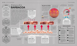 Alternative view 4 of Cocinología (The Science of Cooking): La ciencia de cocinar