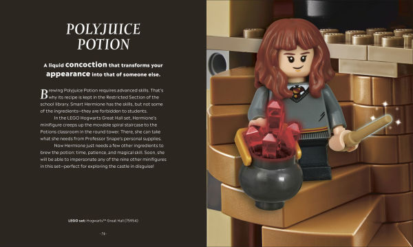 LEGO Harry Potter the Magical Guide to Wizarding World