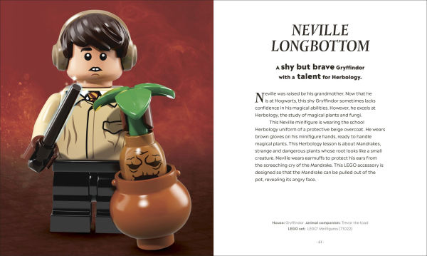 LEGO Harry Potter the Magical Guide to Wizarding World