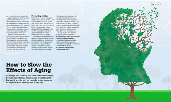 How the Brain Works: The Facts Visually Explained