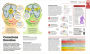 Alternative view 6 of How the Brain Works: The Facts Visually Explained