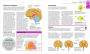 Alternative view 7 of How the Brain Works: The Facts Visually Explained