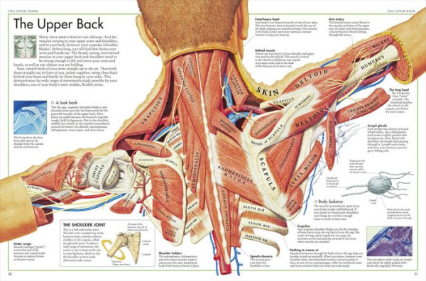 The Body Atlas: A Pictorial Guide to the Human Body