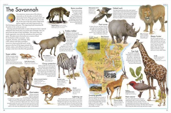 Barnes and Noble The Animal Atlas: A Pictorial Guide to World's ...