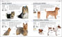 Alternative view 13 of The Complete Dog Breed Book, New Edition