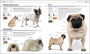 Alternative view 14 of The Complete Dog Breed Book, New Edition