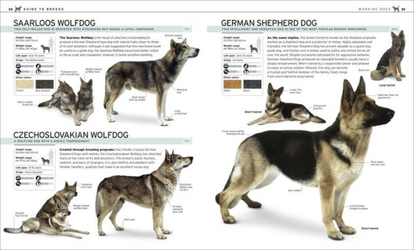 The Complete Dog Breed Book, New Edition