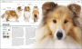 Alternative view 10 of The Complete Dog Breed Book, New Edition