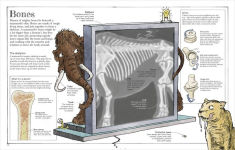 Alternative view 8 of Mammoth Science: The Big Ideas That Explain Our World