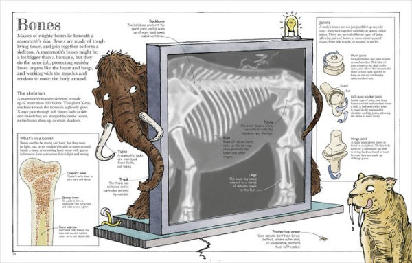 Mammoth Science: The Big Ideas That Explain Our World