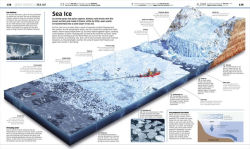 Alternative view 4 of Knowledge Encyclopedia Ocean!