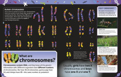 Alternative view 2 of The DNA Book