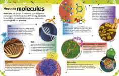 Alternative view 3 of The DNA Book