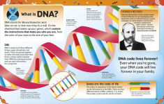 Alternative view 4 of The DNA Book