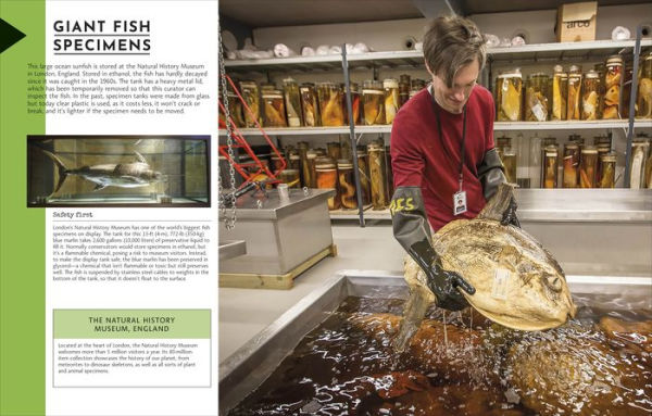 Behind the Scenes at the Museum: Your All-access Guide to the World's Amazing Museums