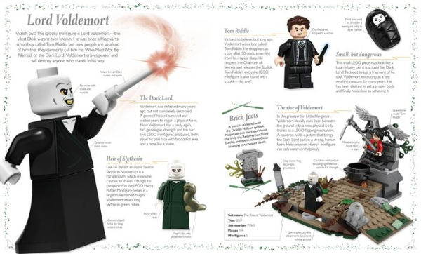 LEGO® Harry PotterT Magical Treasury: A Visual Guide to the Wizarding World (Library Edition)