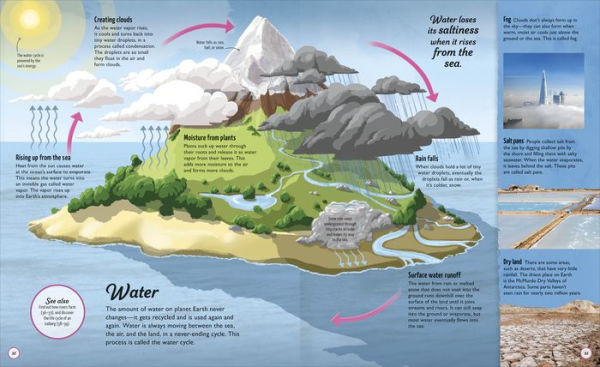 Life Cycles: Everything from Start to Finish