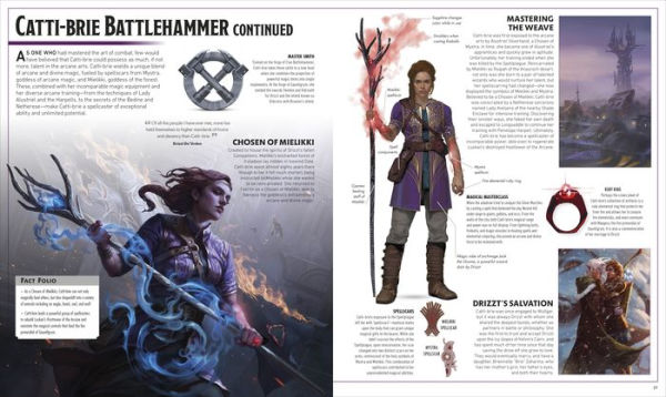 Dungeons and Dragons The Legend of Drizzt Visual Dictionary