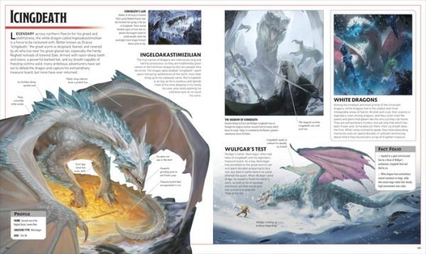 Dungeons and Dragons The Legend of Drizzt Visual Dictionary