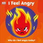 I Feel Angry: Why do I feel angry today?