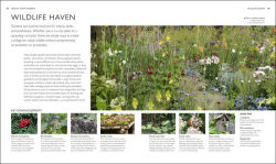 Alternative view 2 of The Complete Gardener's Guide: The One-Stop Guide to Plan, Sow, Plant, and Grow Your Garden